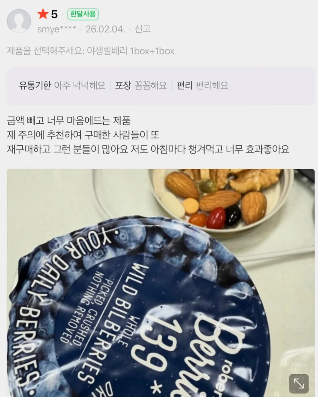 인도 고무나무 19
