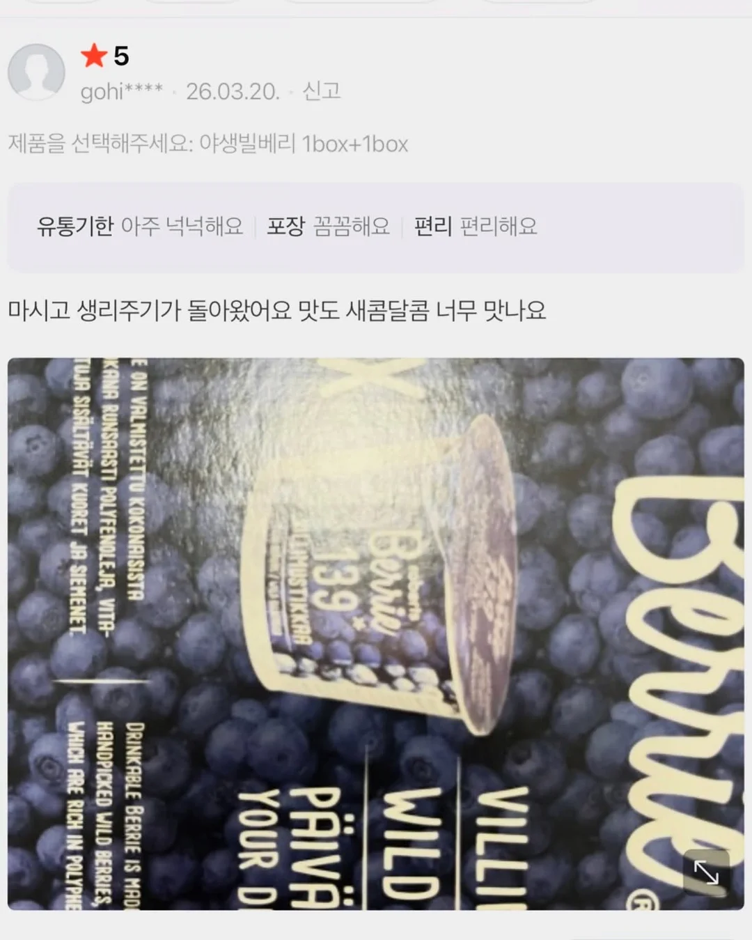 인도 고무나무 20