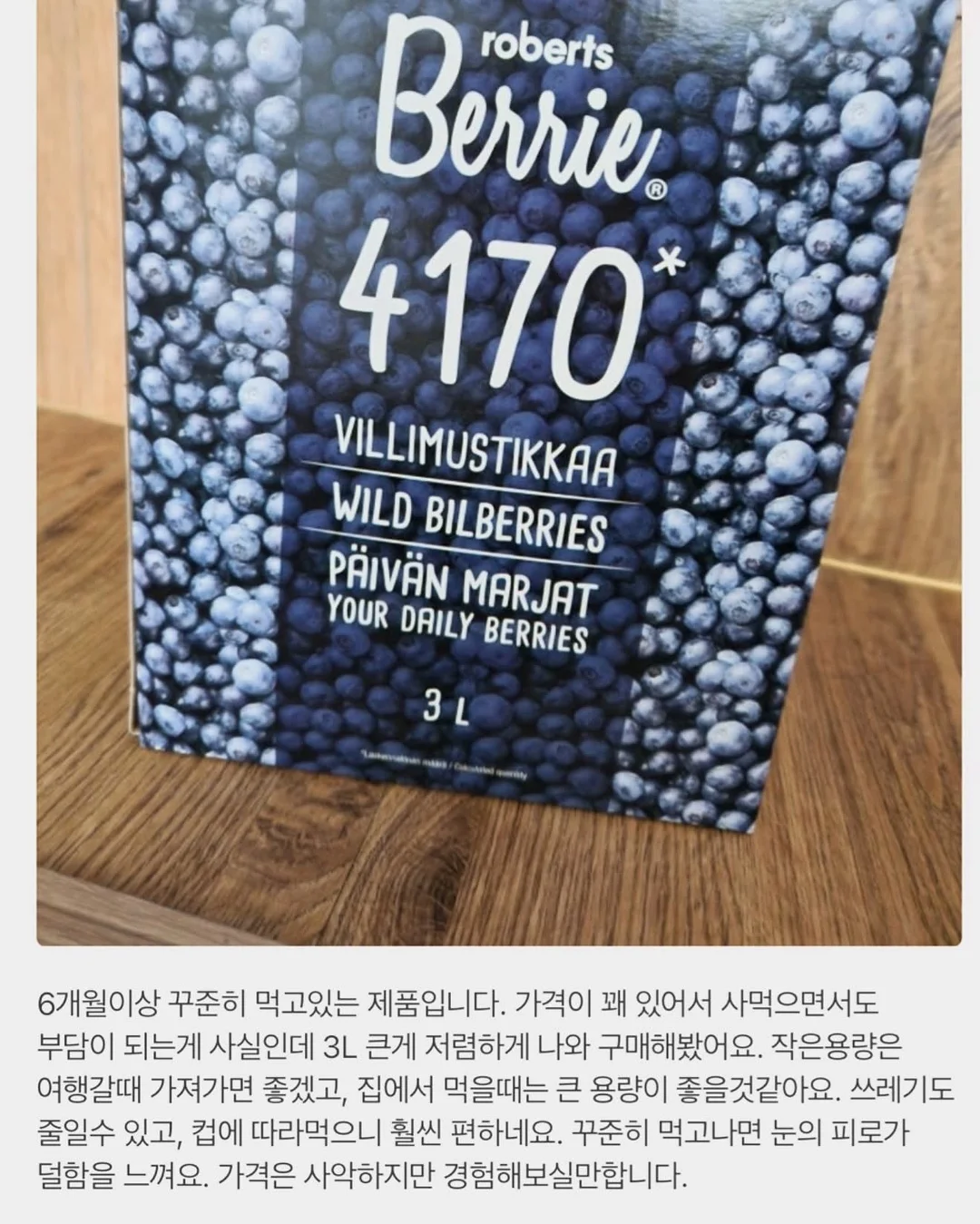 인도 고무나무 2