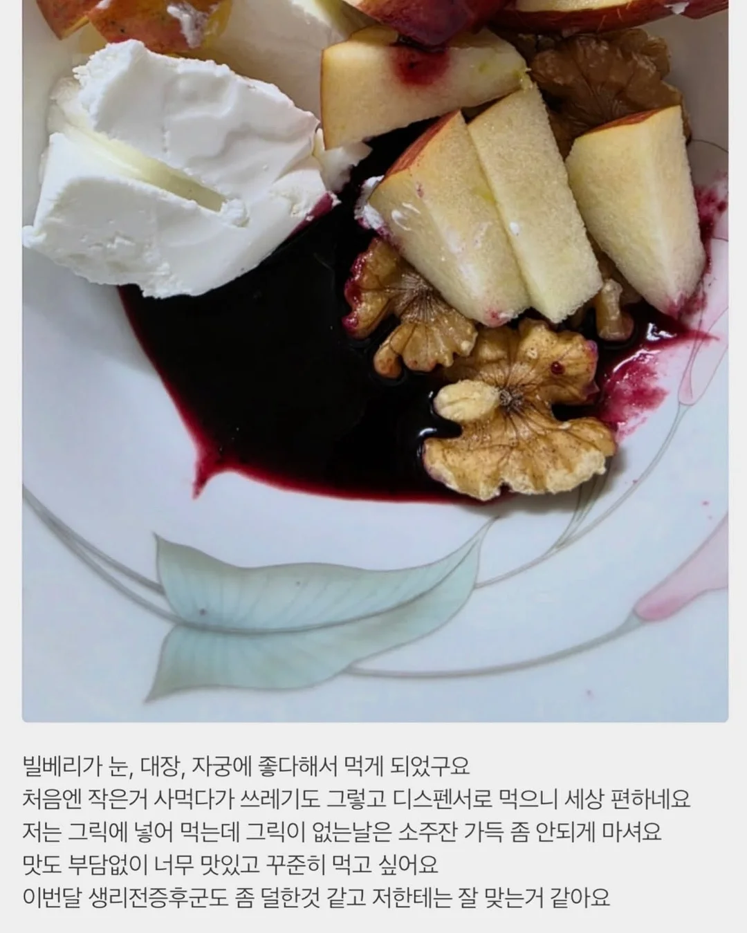 인도 고무나무 5