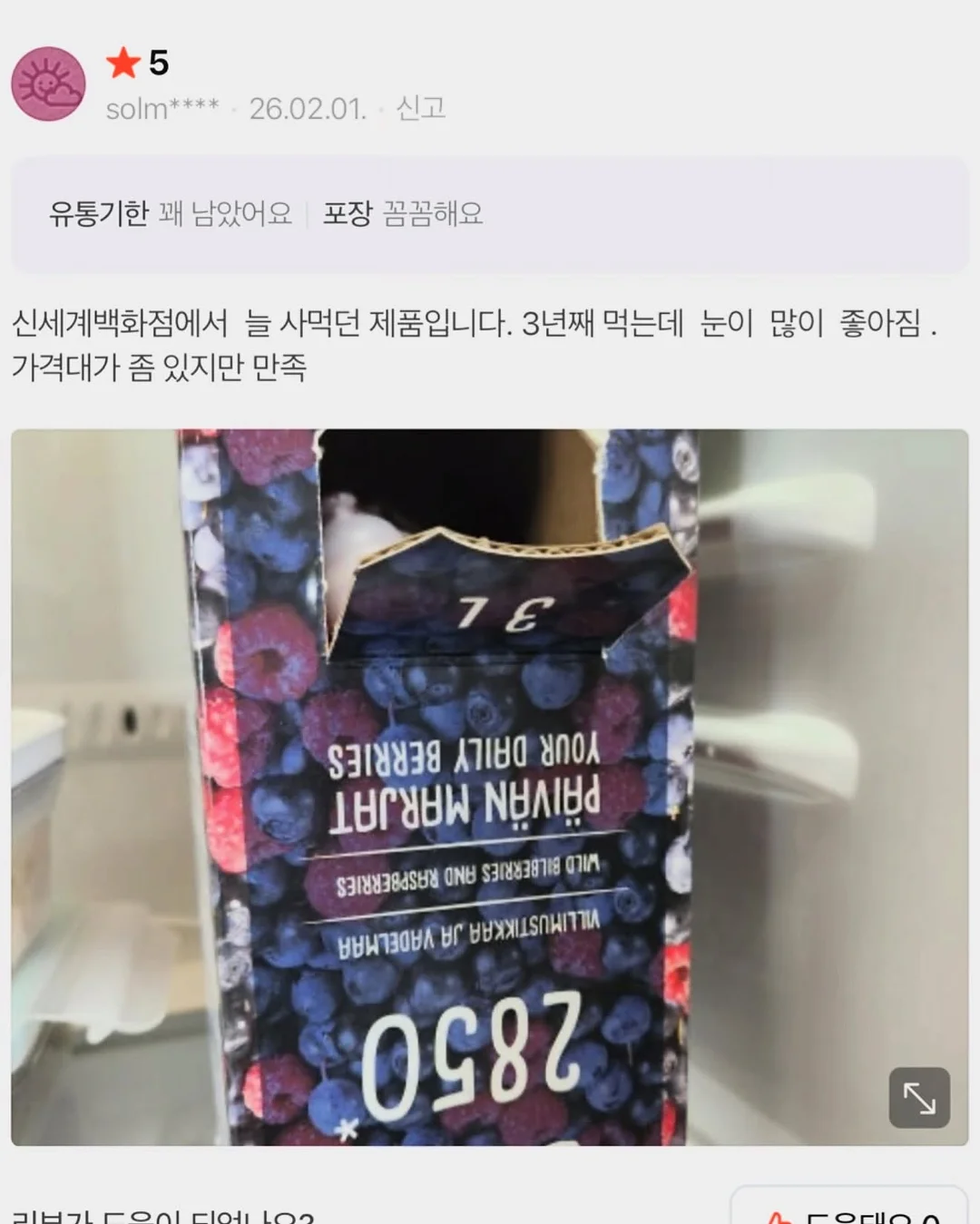 인도 고무나무 7