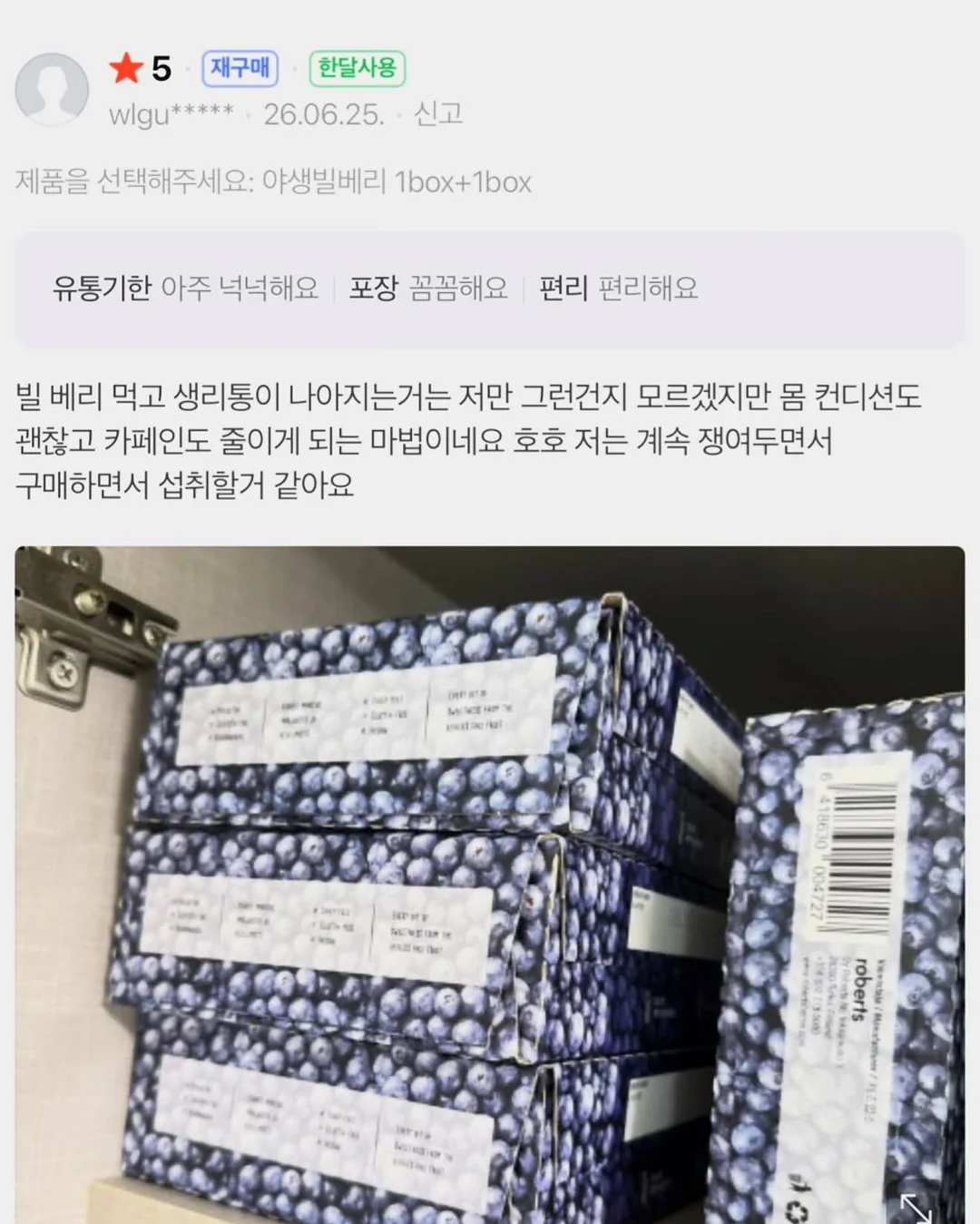 인도 고무나무 8