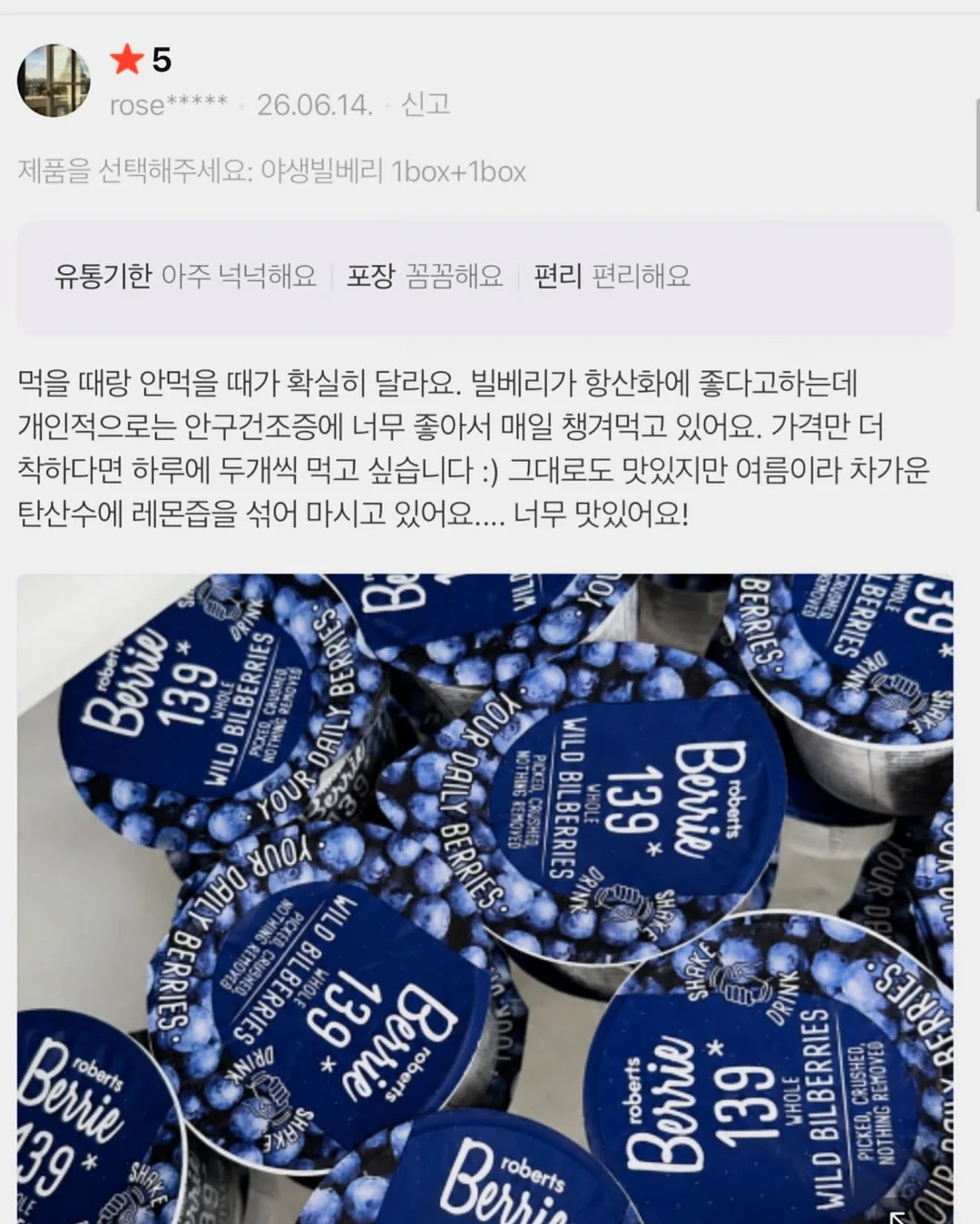 인도 고무나무 10