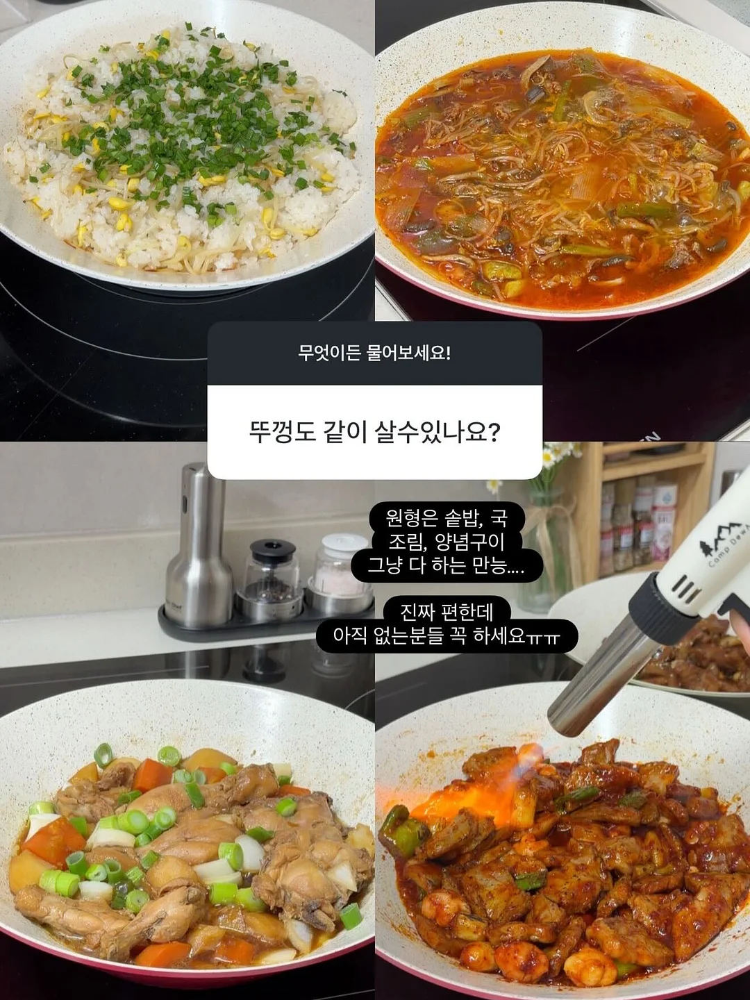 애견용품 간식 10