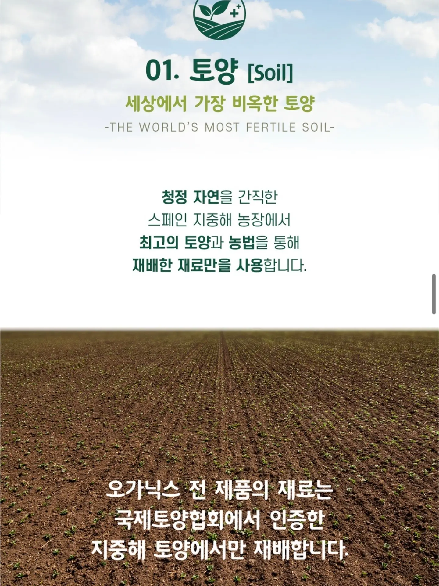 설탕코팅 조각스티커 15