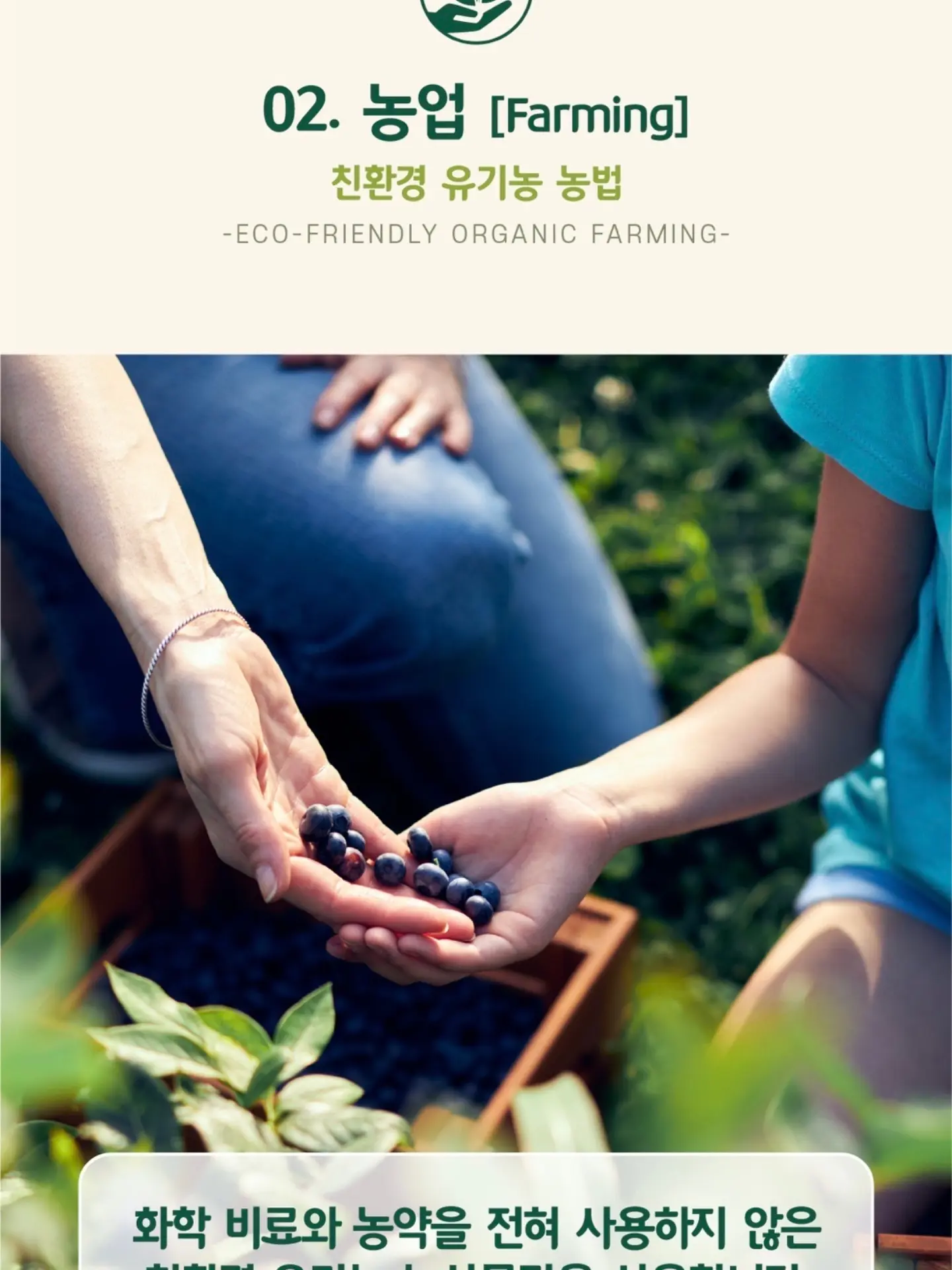 설탕코팅 조각스티커 16