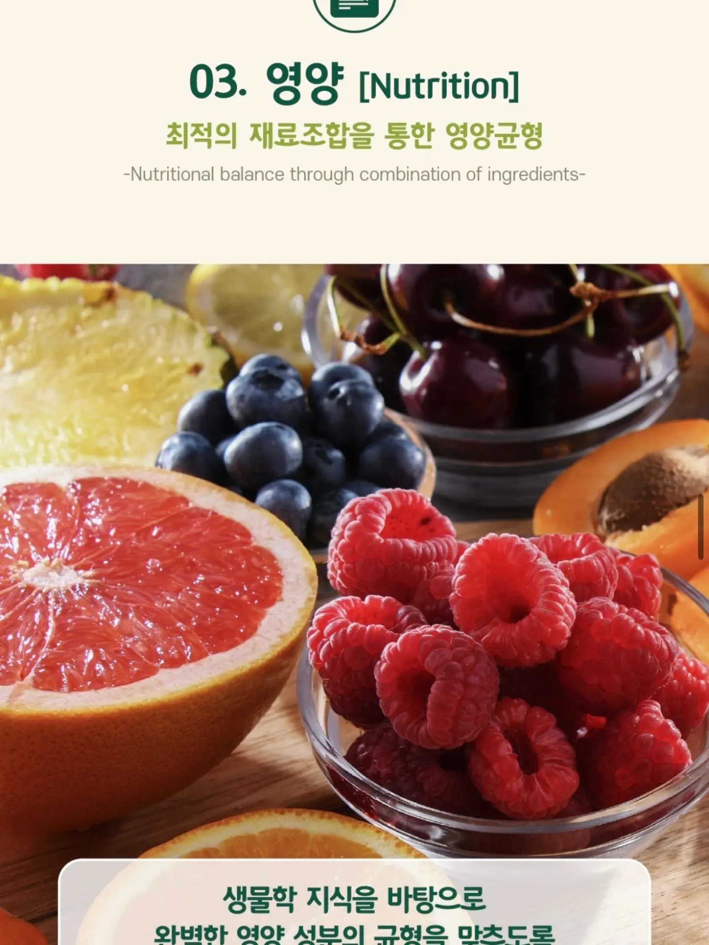 설탕코팅 조각스티커 17