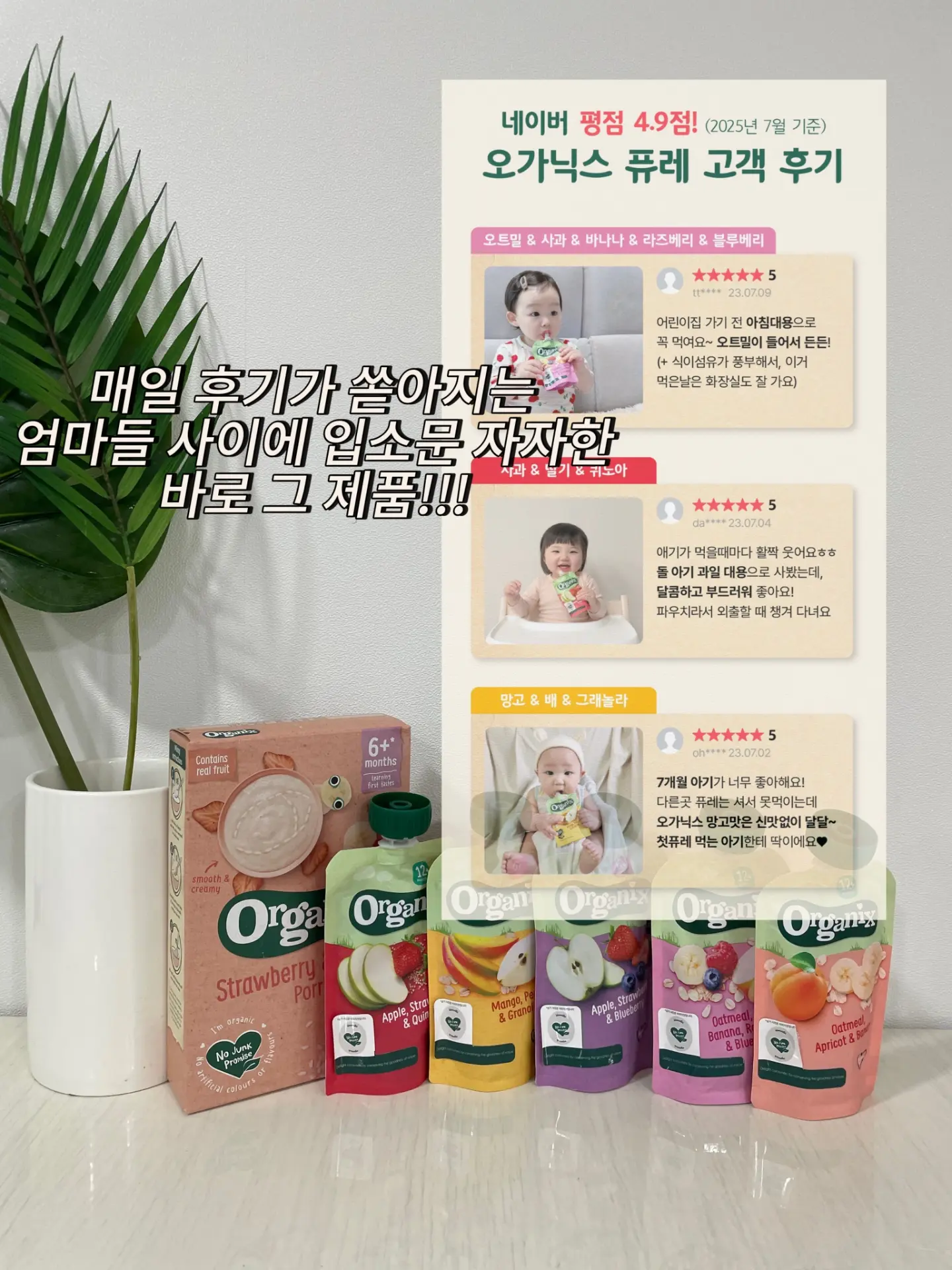 설탕코팅 조각스티커 6