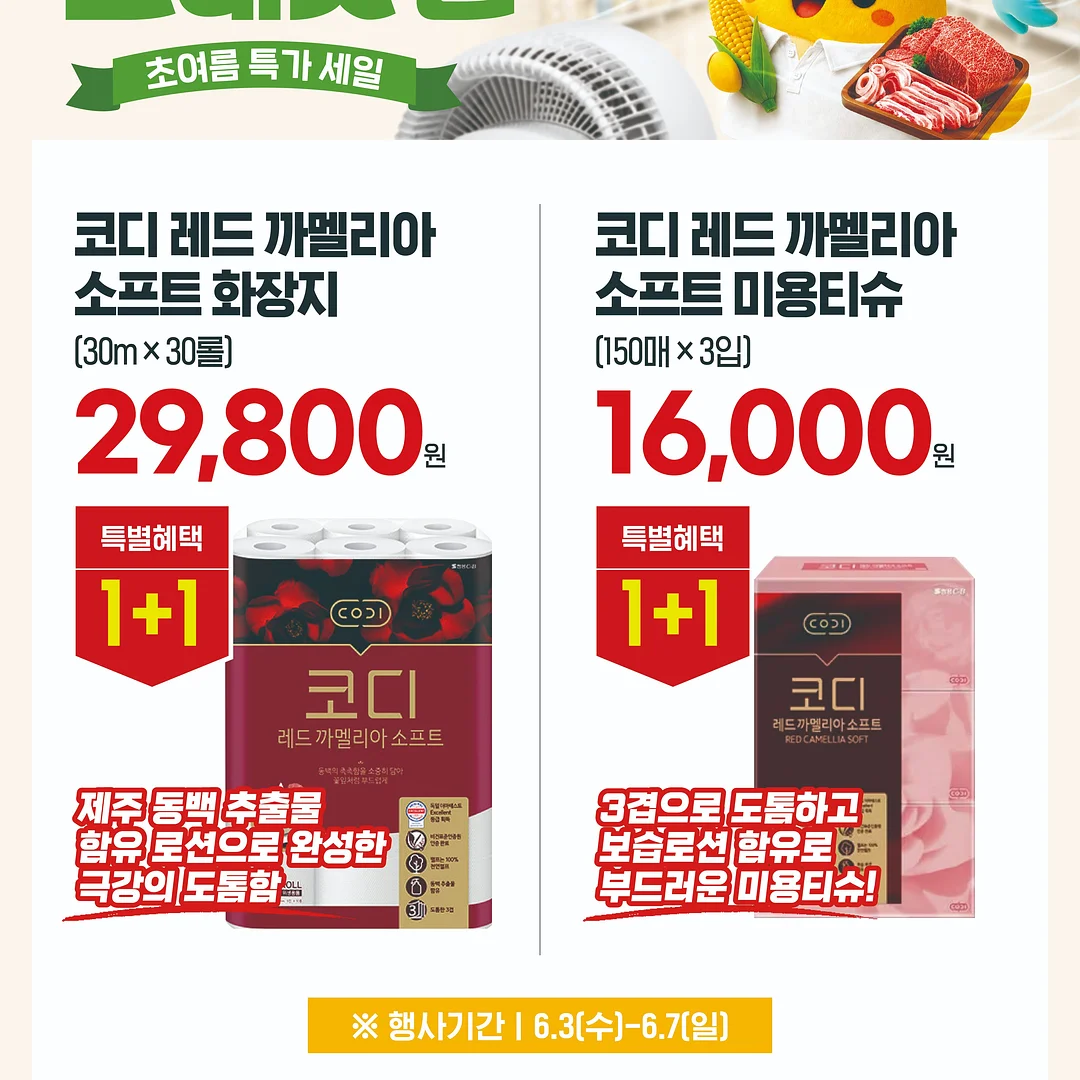 콰트 요가 입문 패키지 5