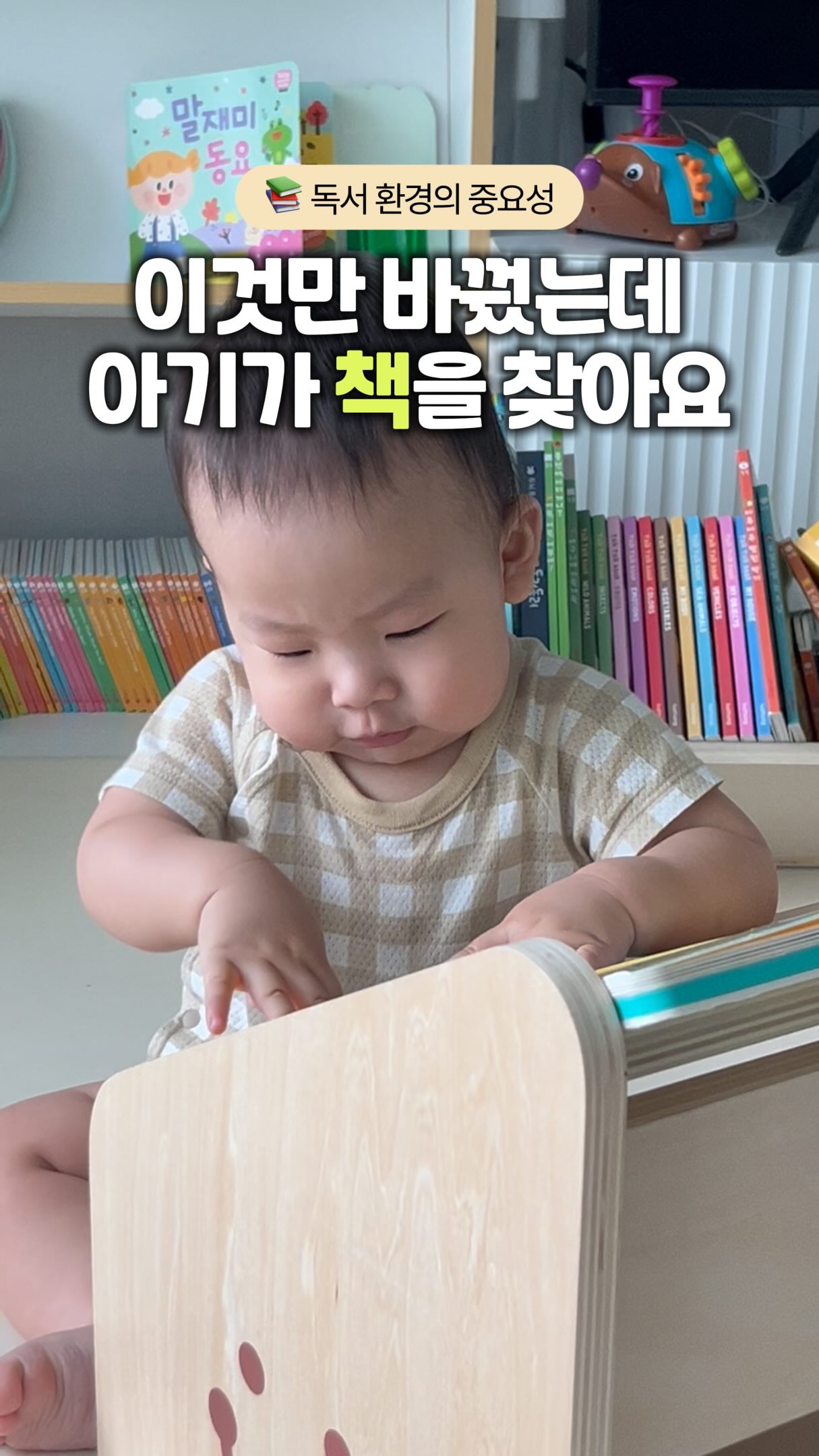 화이트리에 생식빵