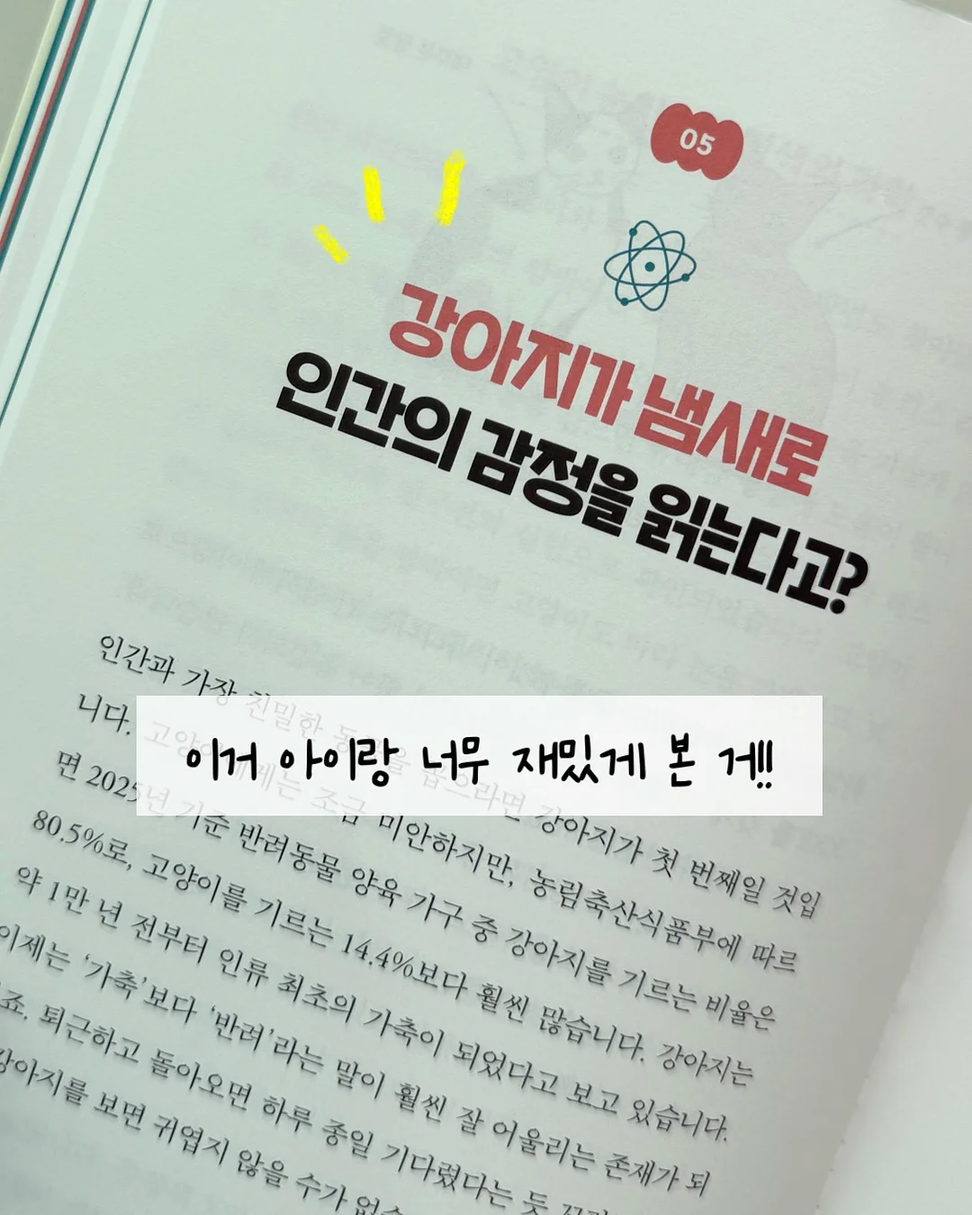 디자인 조명 4
