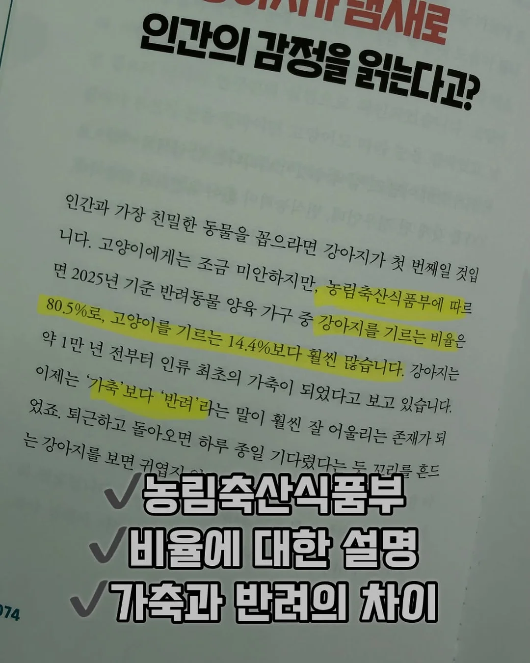 디자인 조명 6