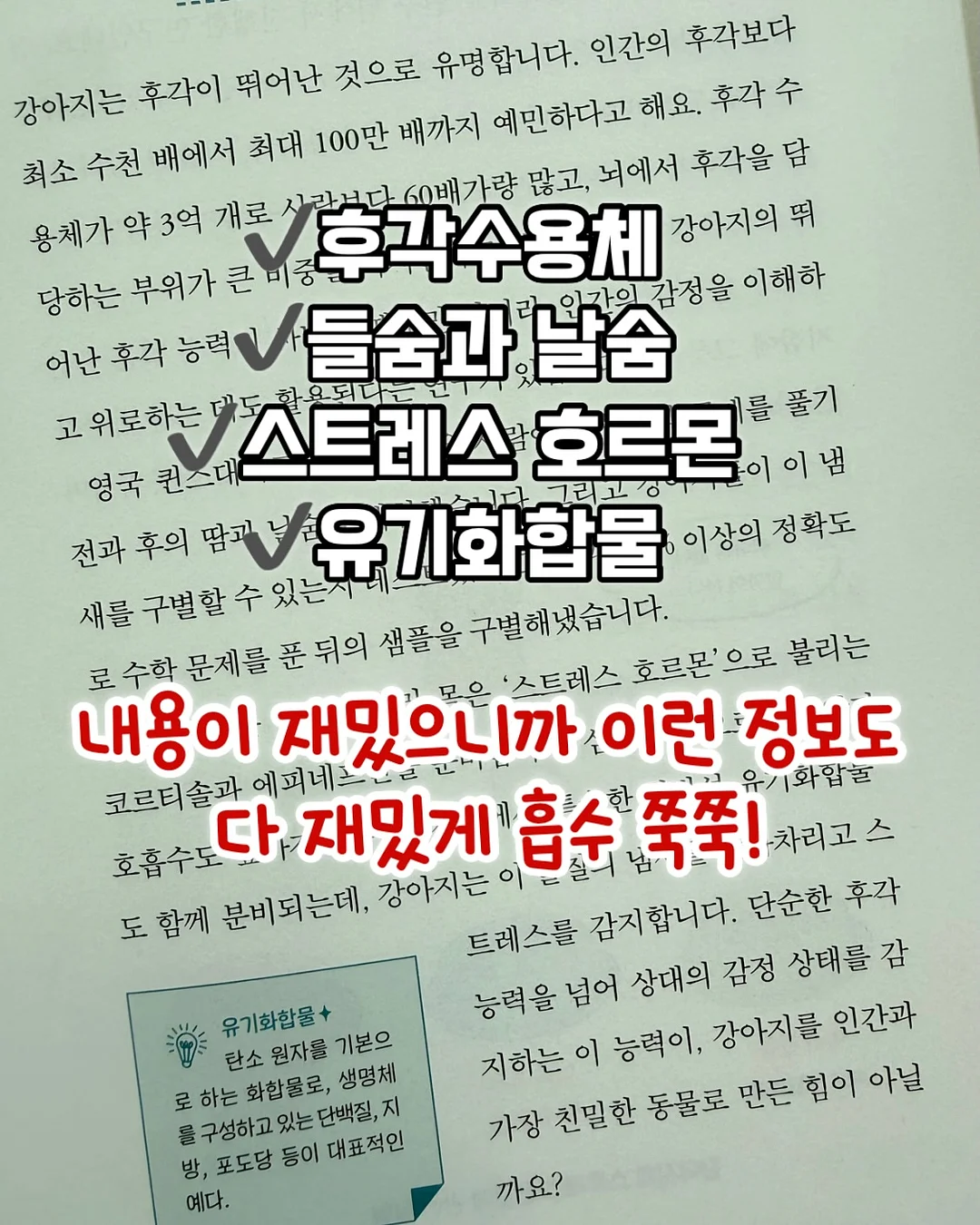 디자인 조명 7