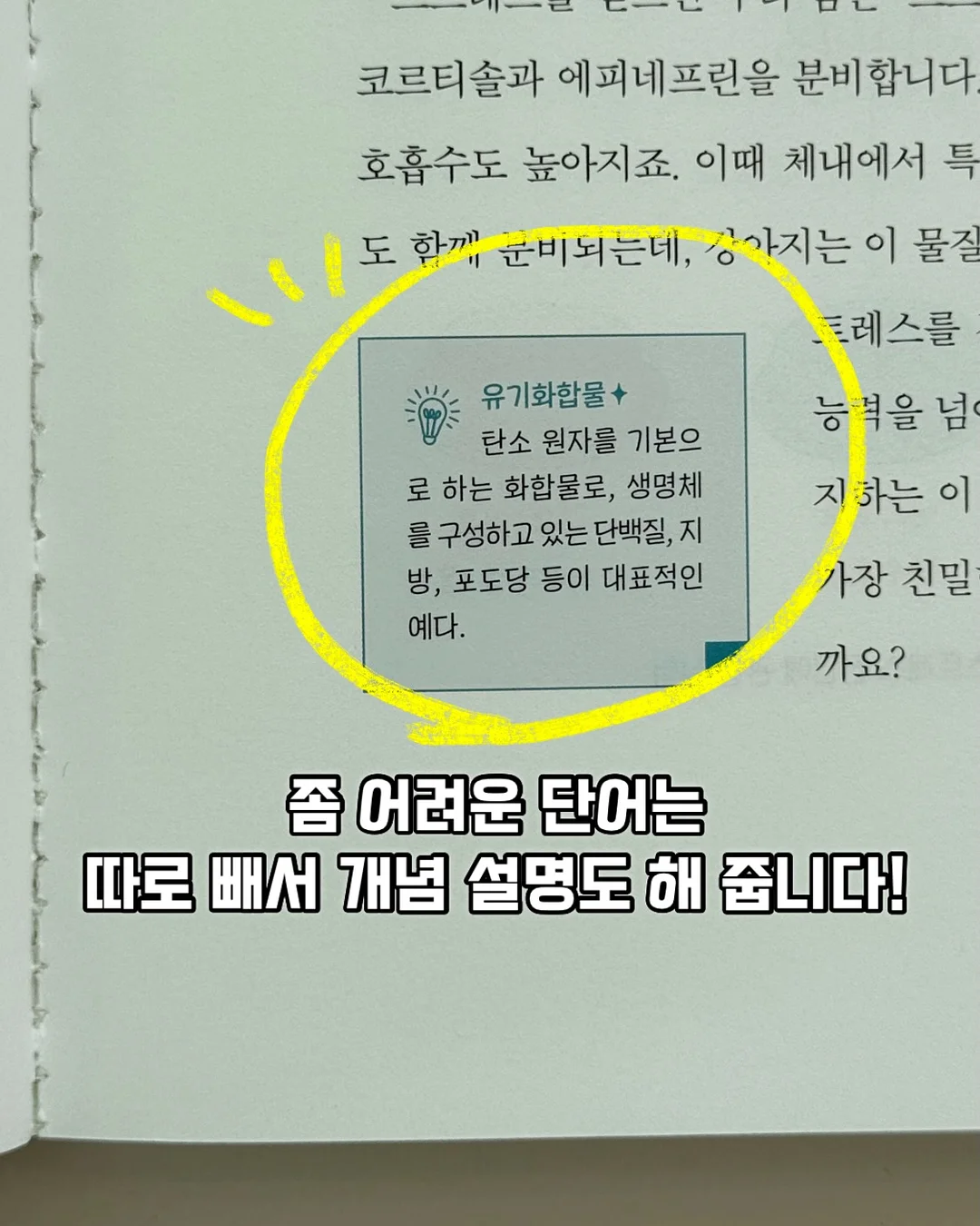 디자인 조명 8