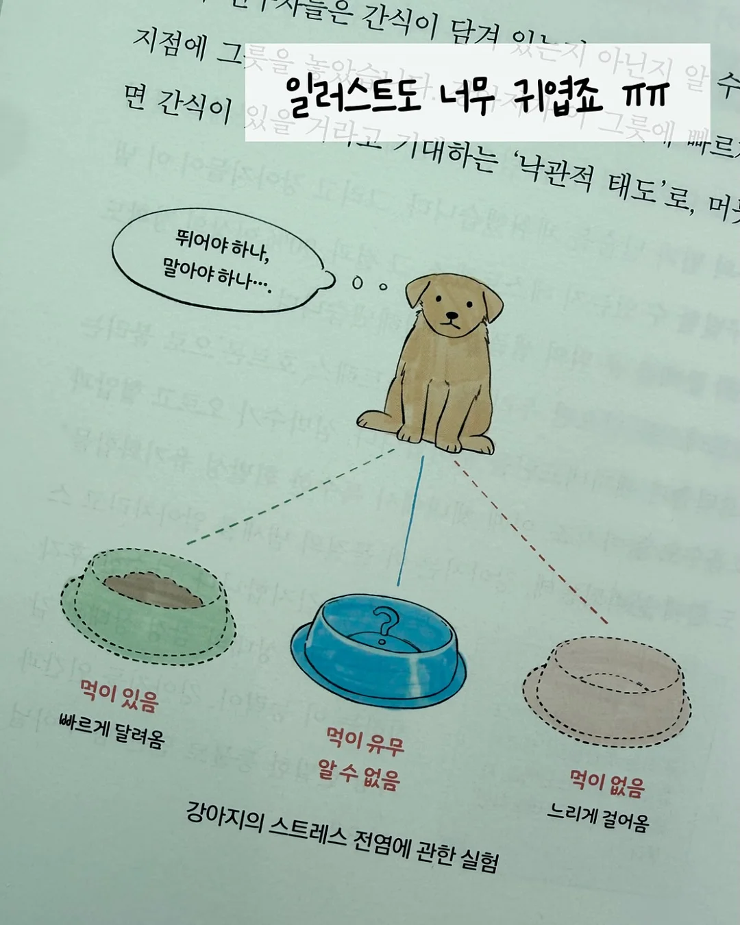 디자인 조명 9
