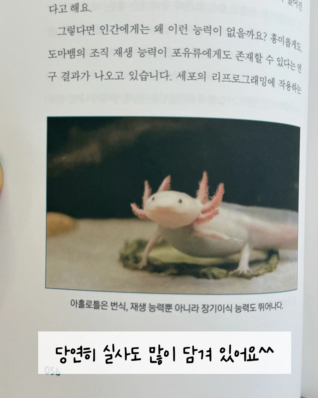 디자인 조명 10