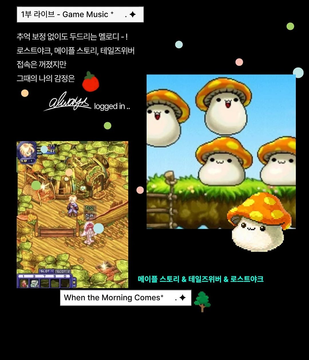 수술 자국 관리 4