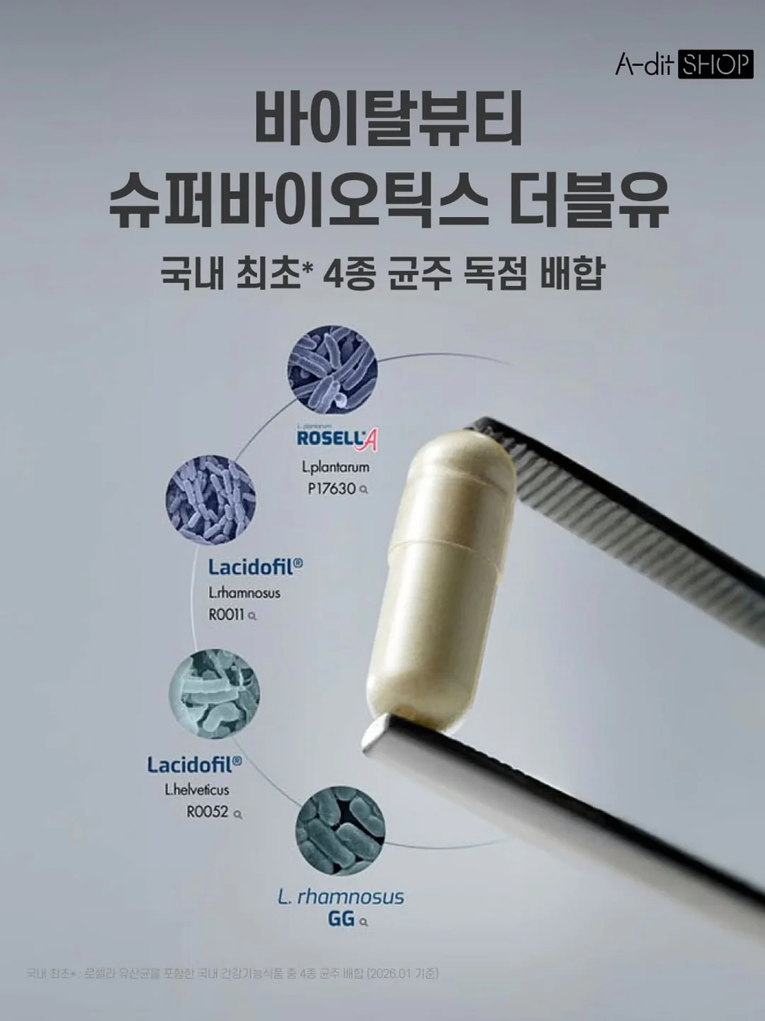 카네이션 쿠키 세트 7