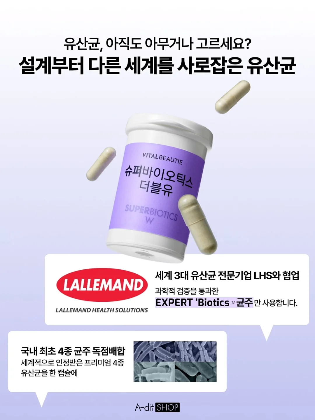 카네이션 쿠키 세트 8