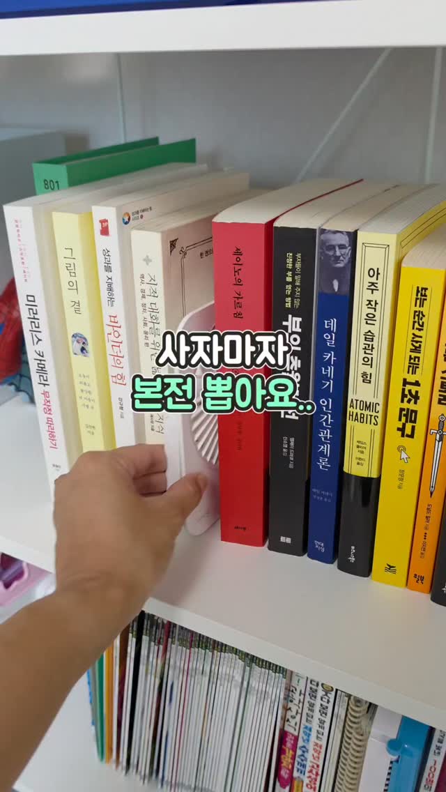 미소된장국