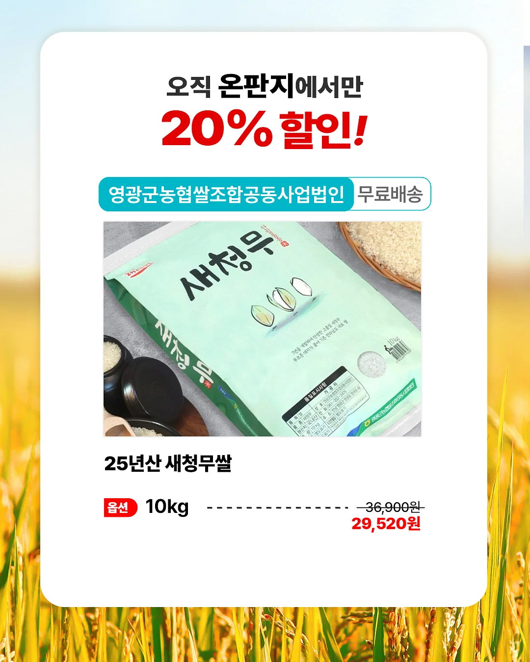 평일 객실 할인 2