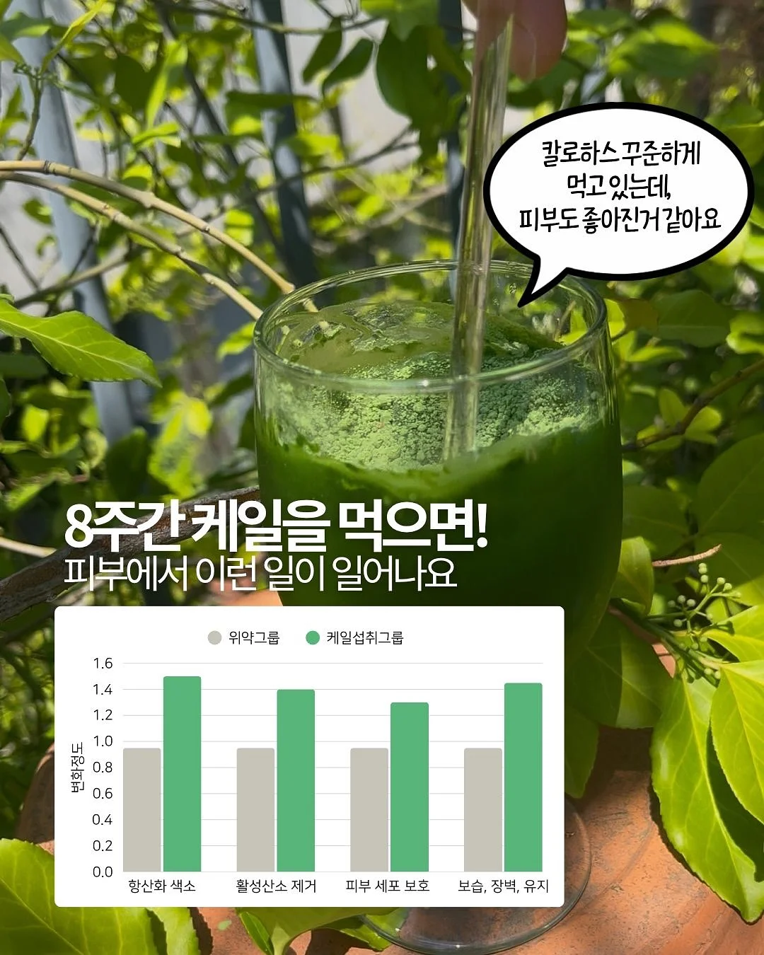 간식 12