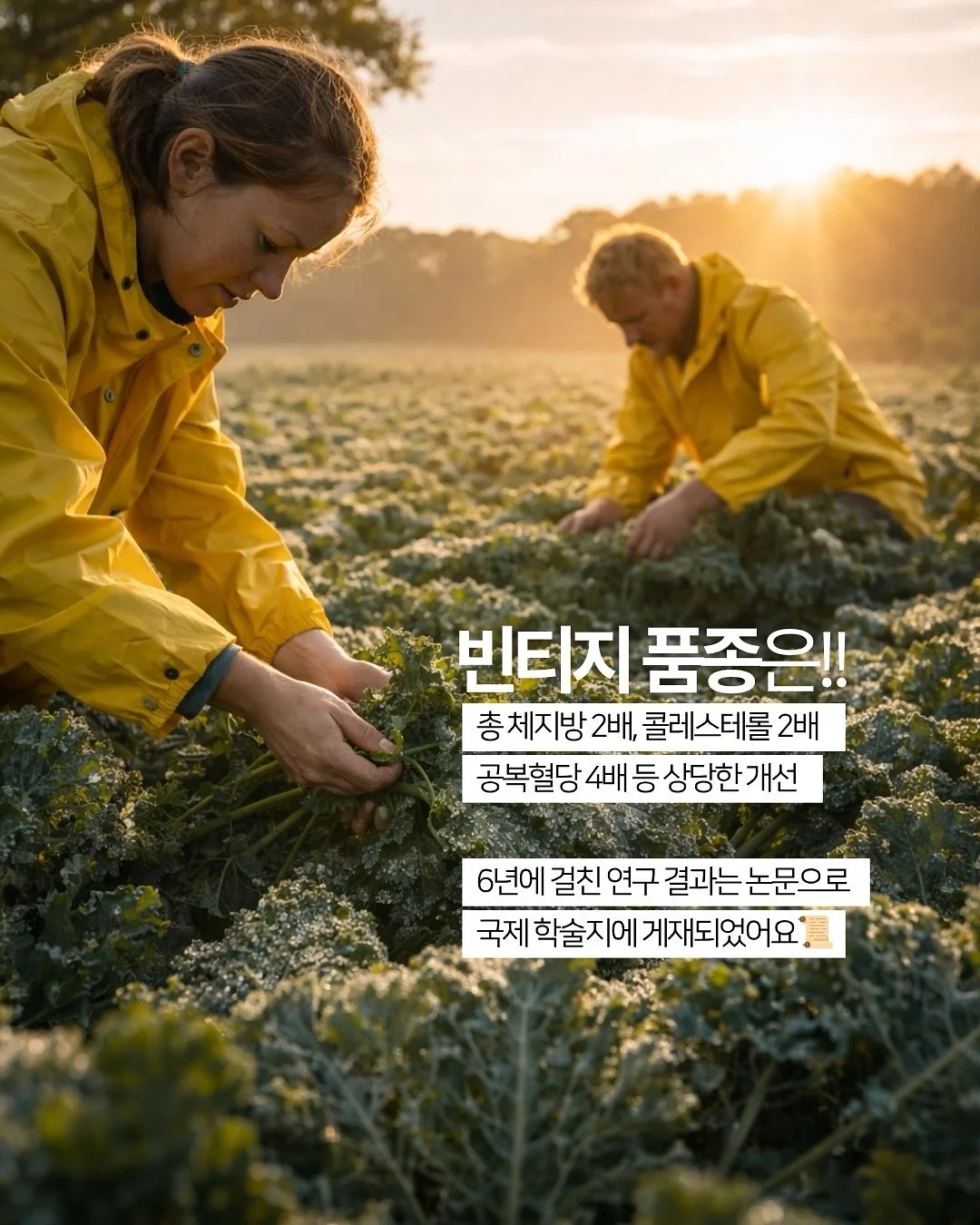 간식 7