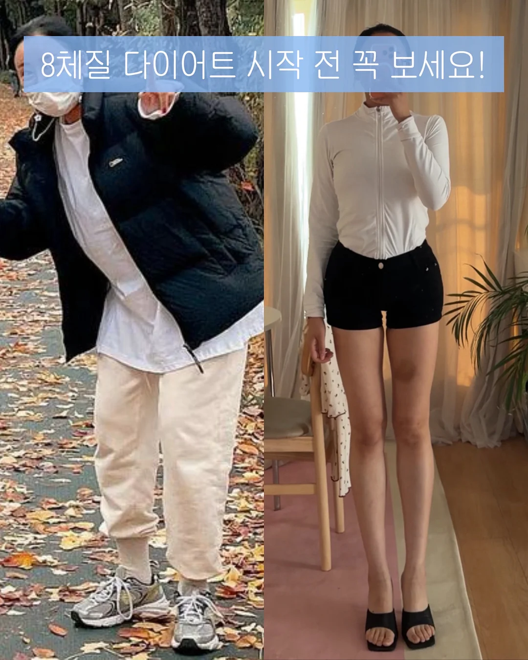 싱싱한꽃 1