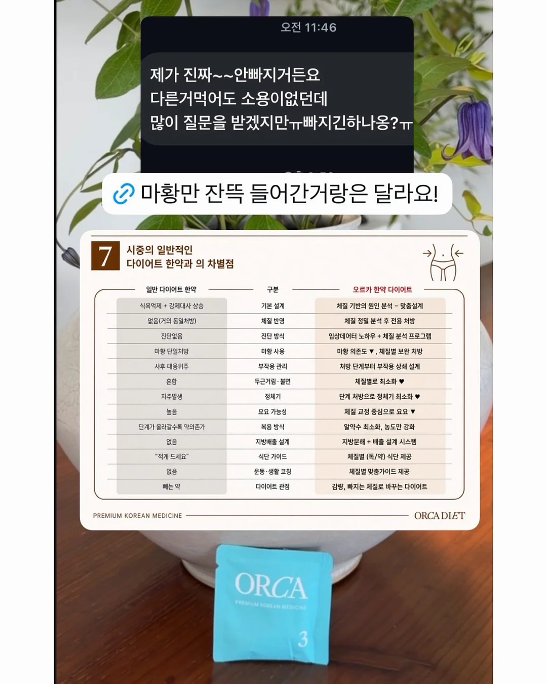 싱싱한꽃 4