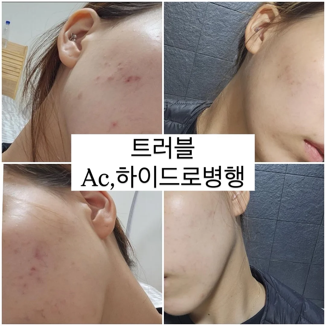 원목 캣휠 4