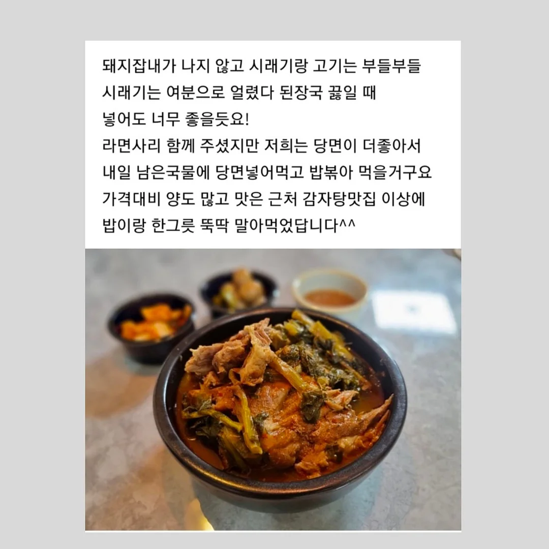 승용 스쿠터 3