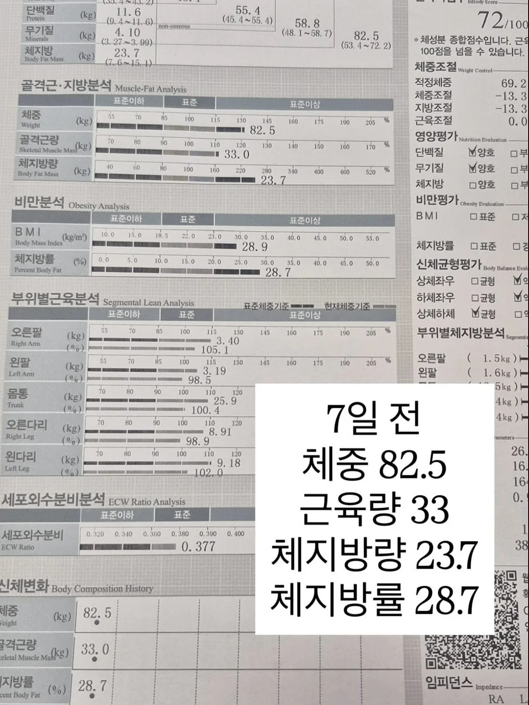 더디 카네이션 선물 6