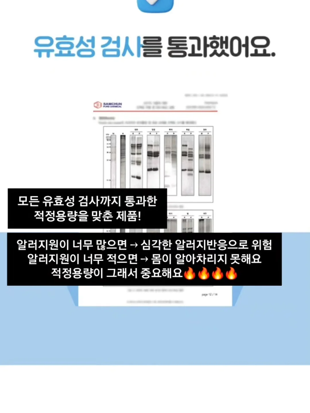 롱샴 르 플리아쥬 메쉬백 3