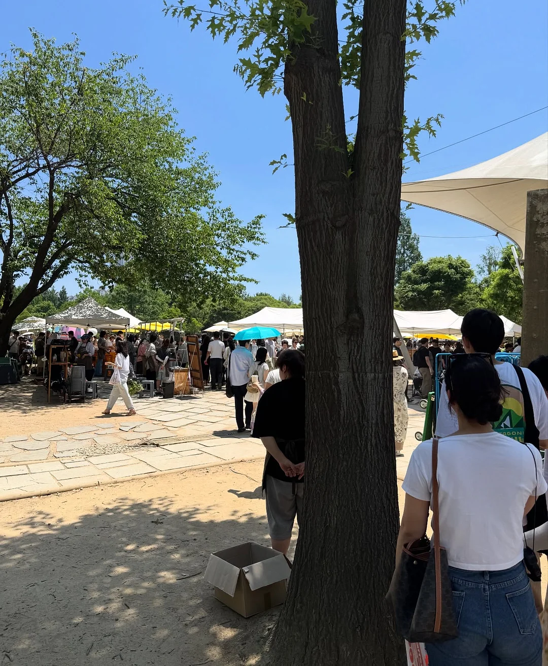 제주 생선 9
