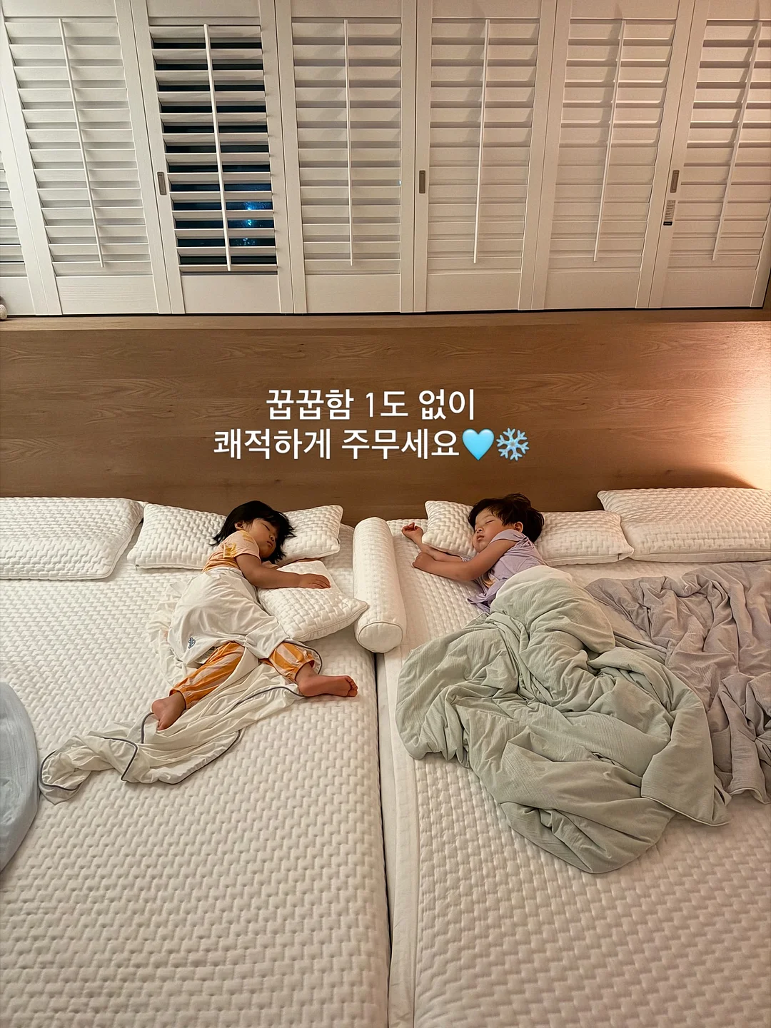 어린이를 위한 배경지식 도감 13