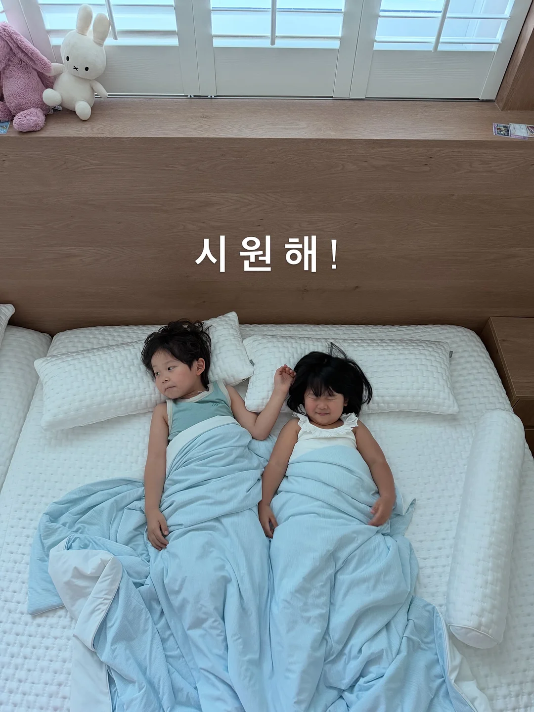어린이를 위한 배경지식 도감 19
