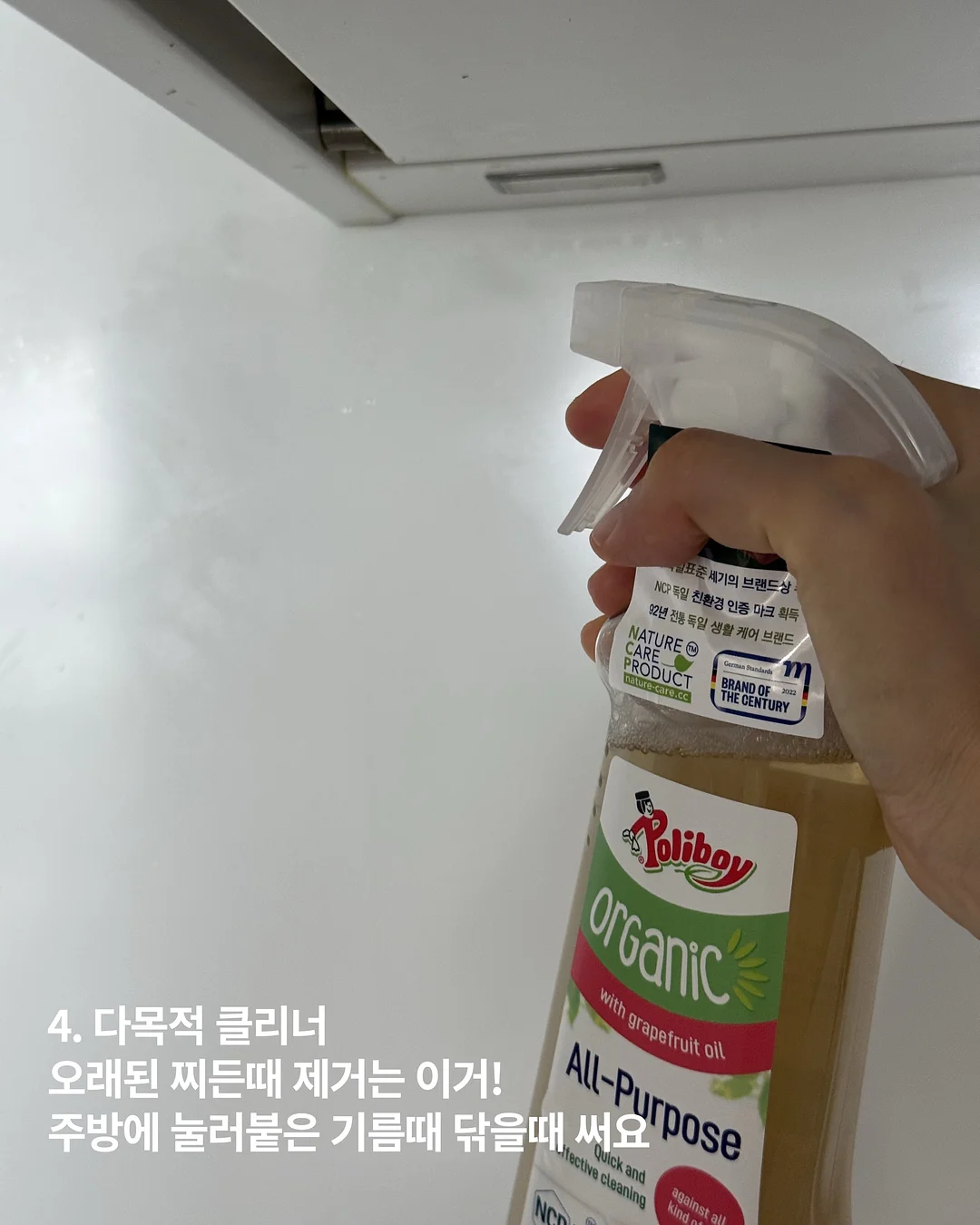 감추어진 비밀 란제리 디자이너 라이프 12