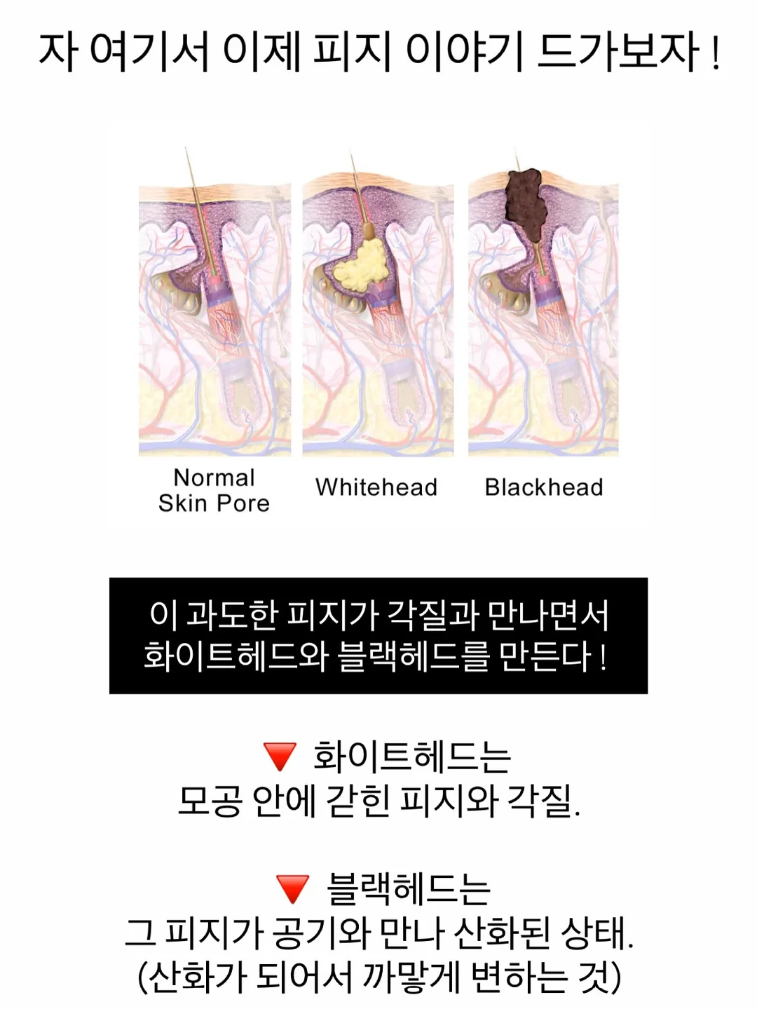 퓨어썸 샤워기 9