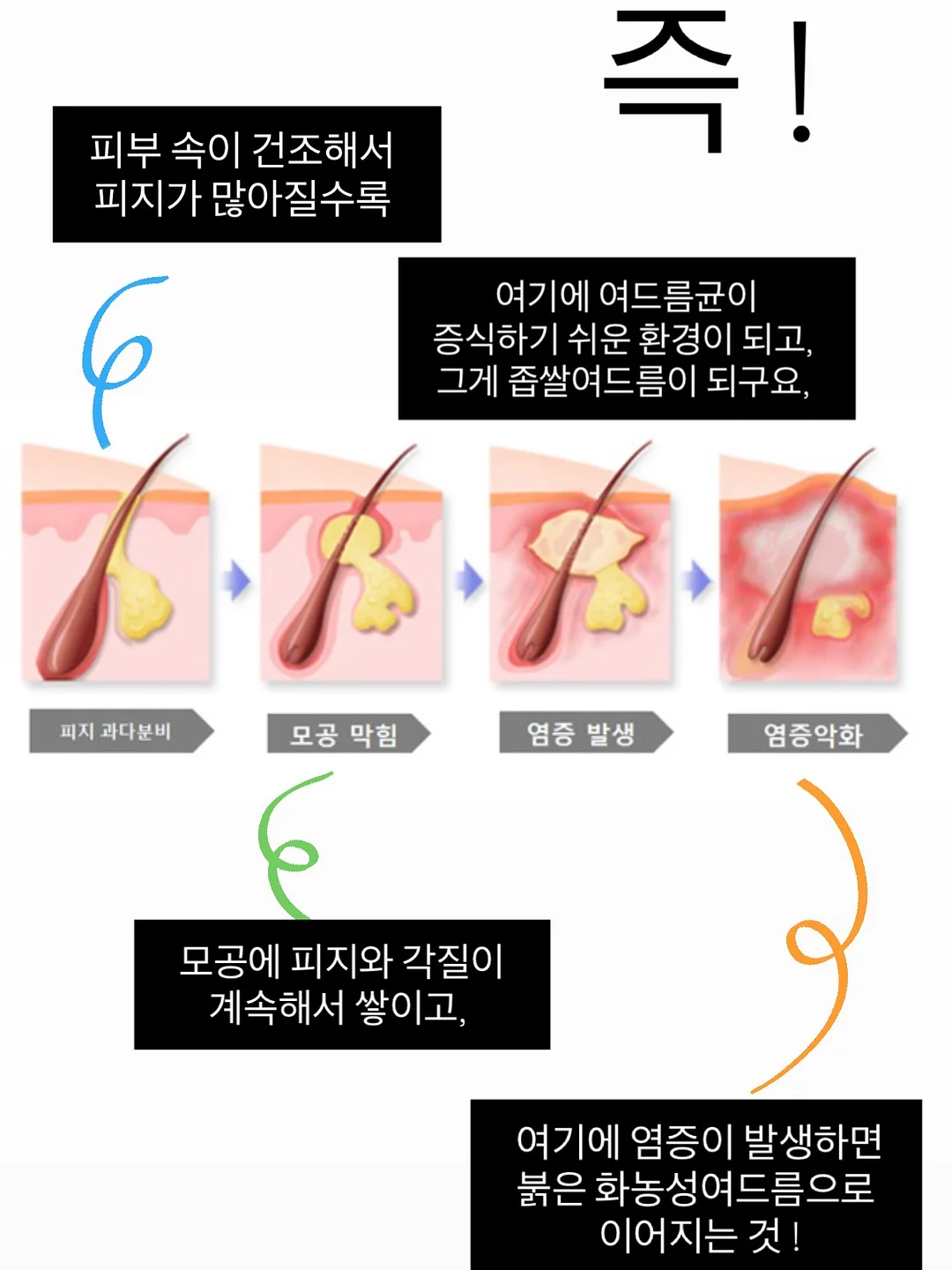 퓨어썸 샤워기 10