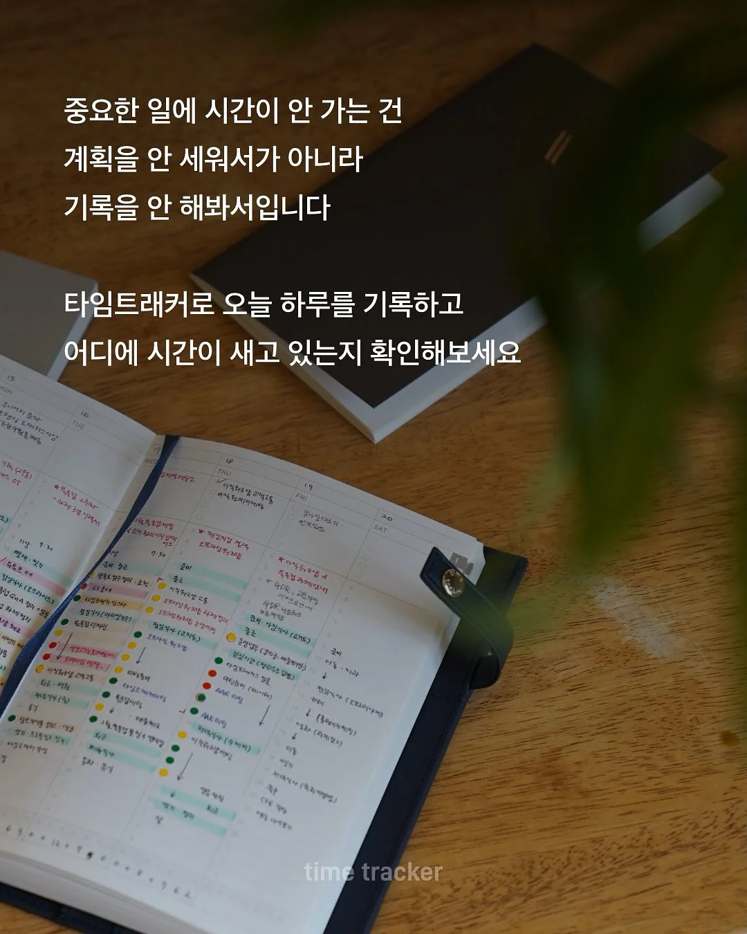 테리크 40수 호텔 수건 6