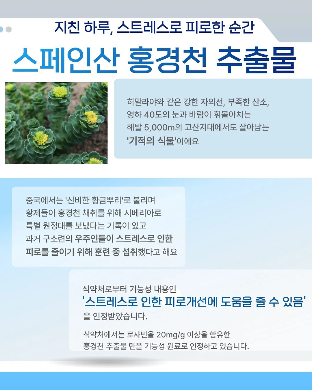 매쉬소재 져지티 5