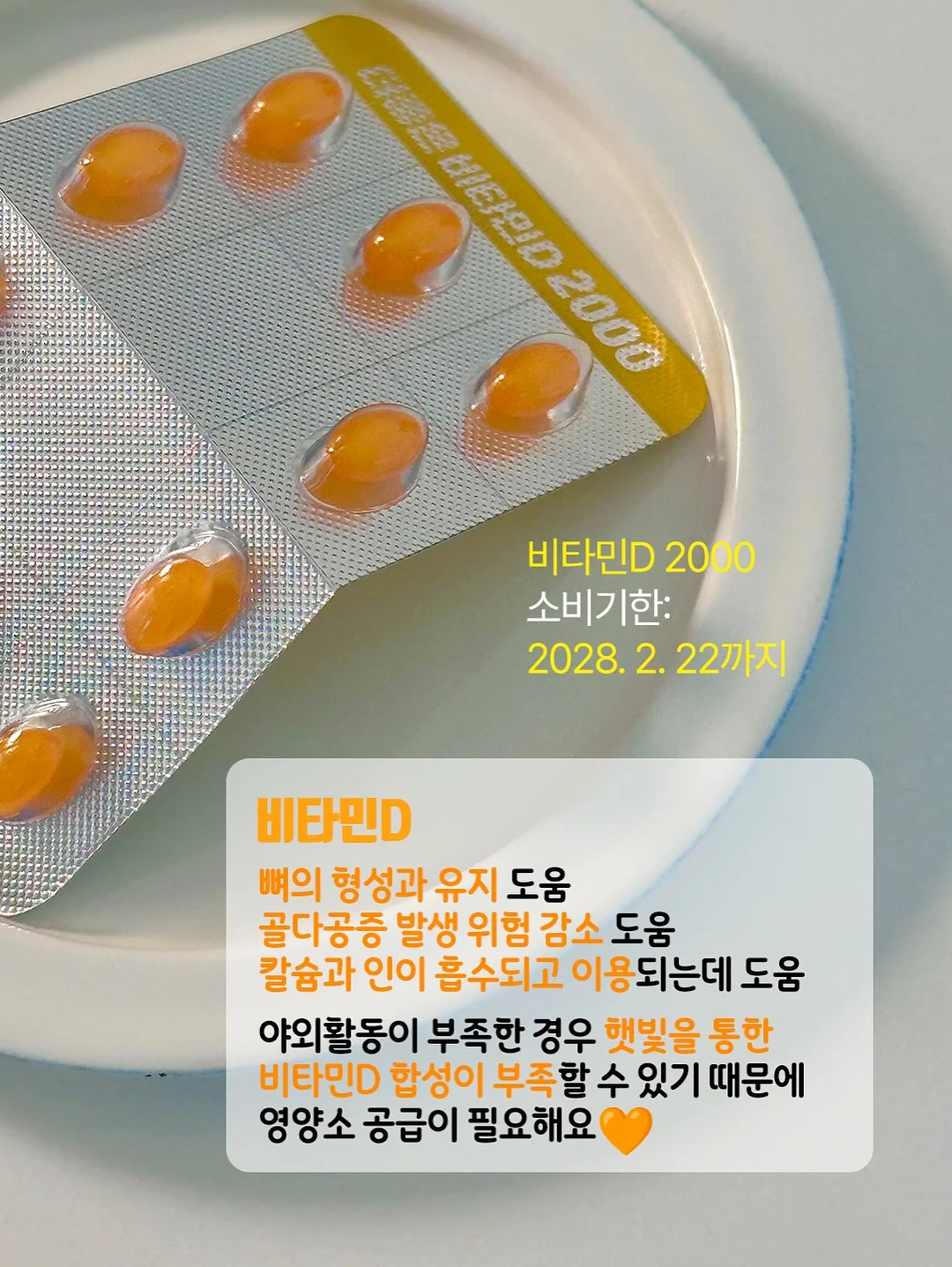 홀가드레시니트 11