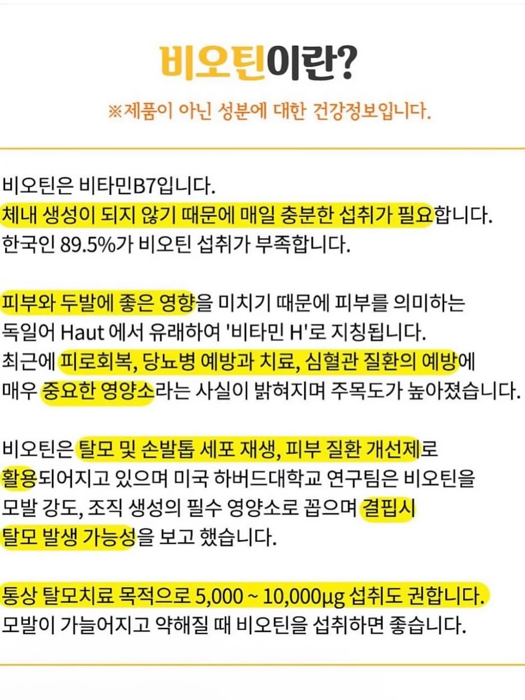 홀가드레시니트 13