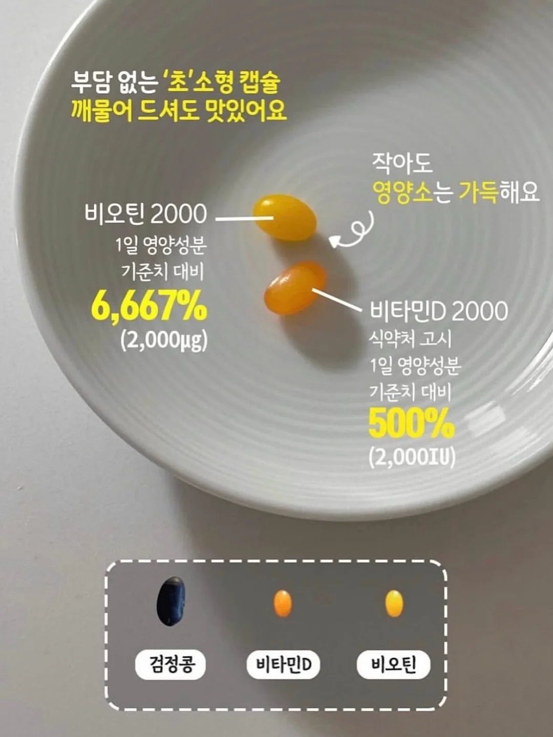 홀가드레시니트 7