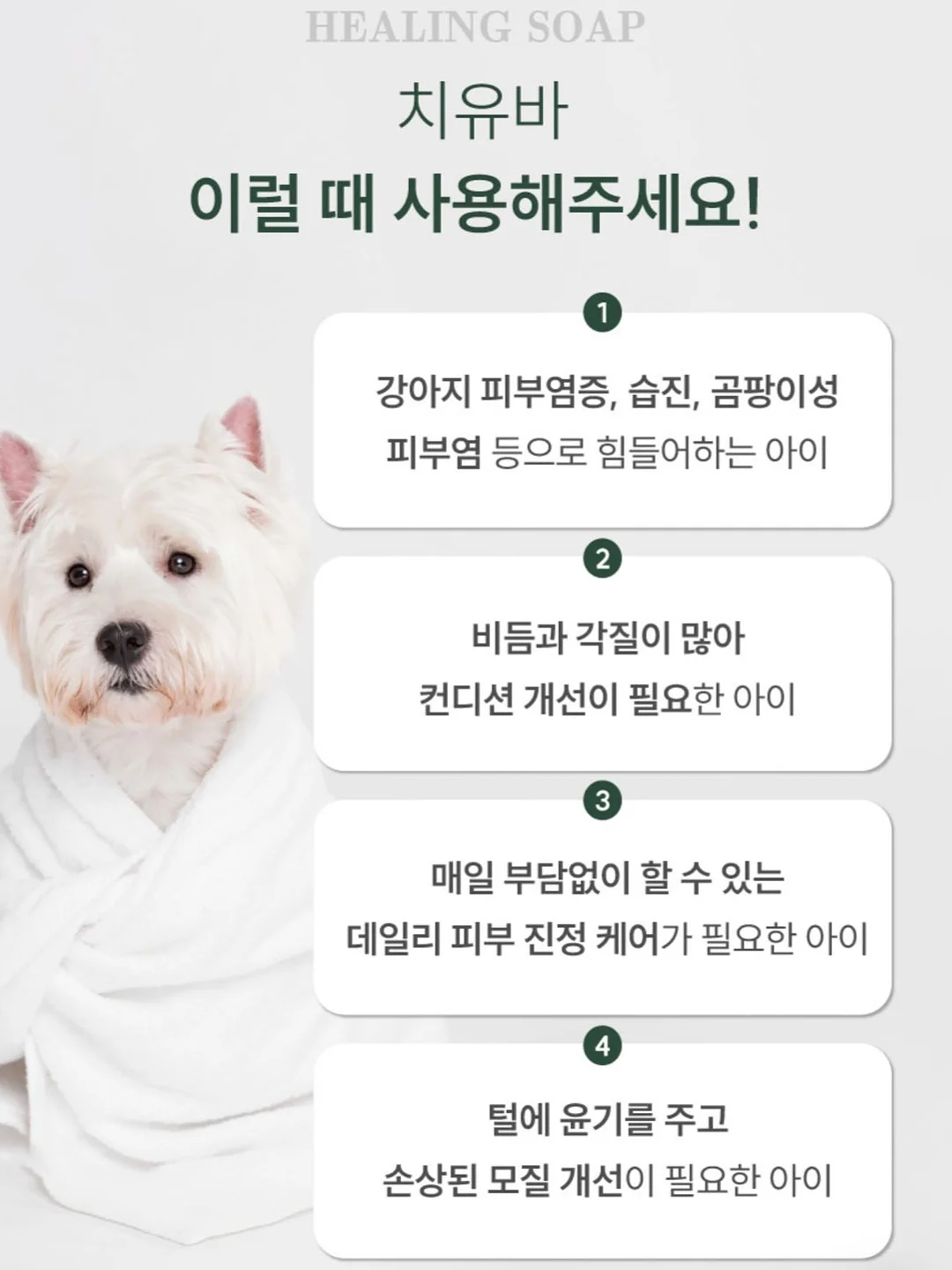 산소라인 11