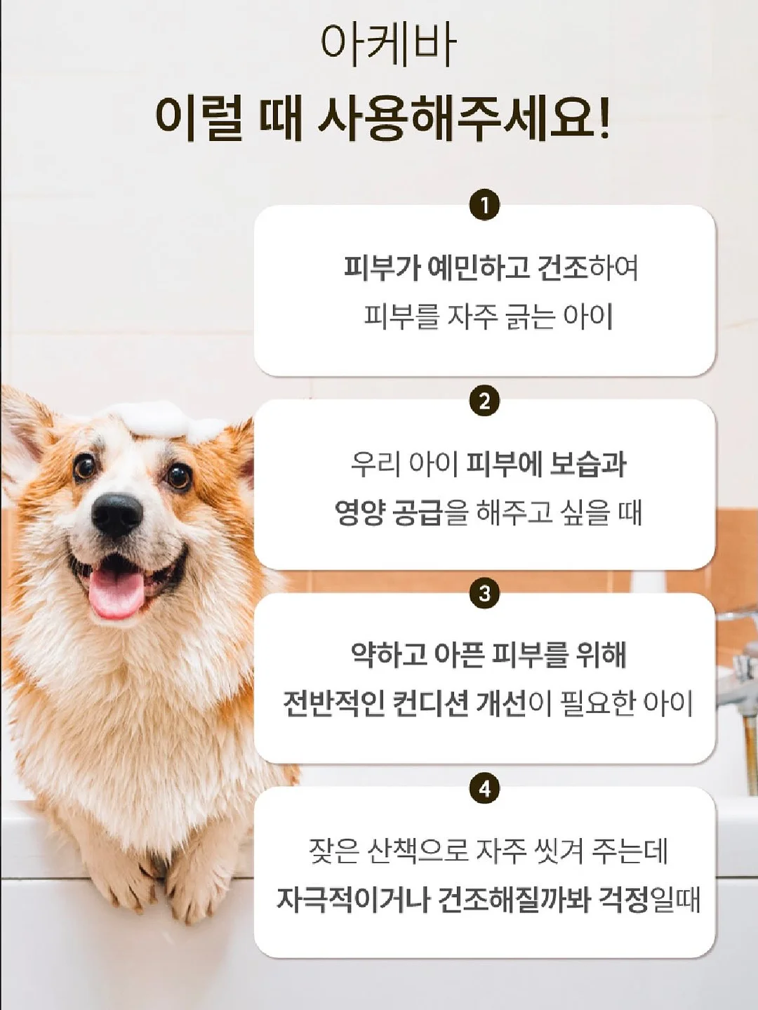 산소라인 13
