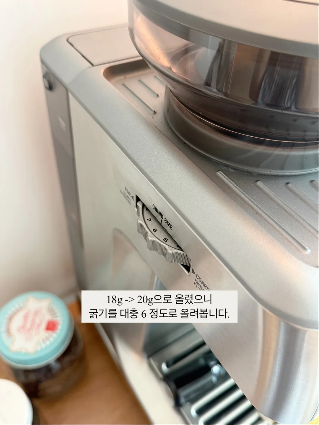 네페타 11
