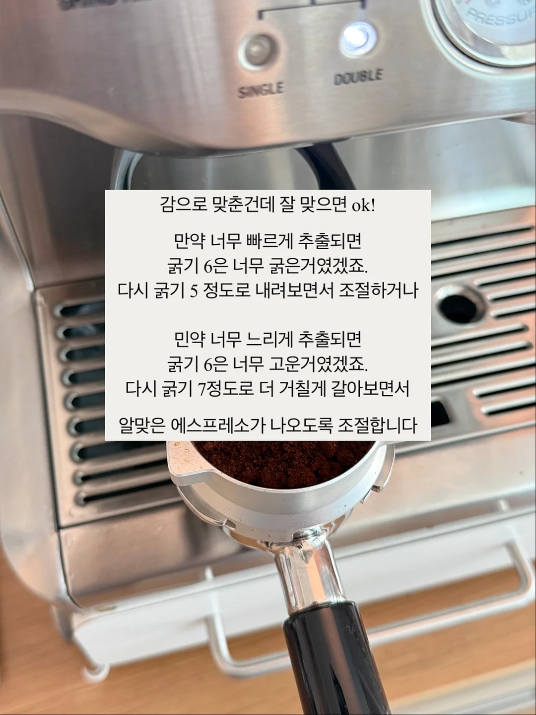 네페타 14