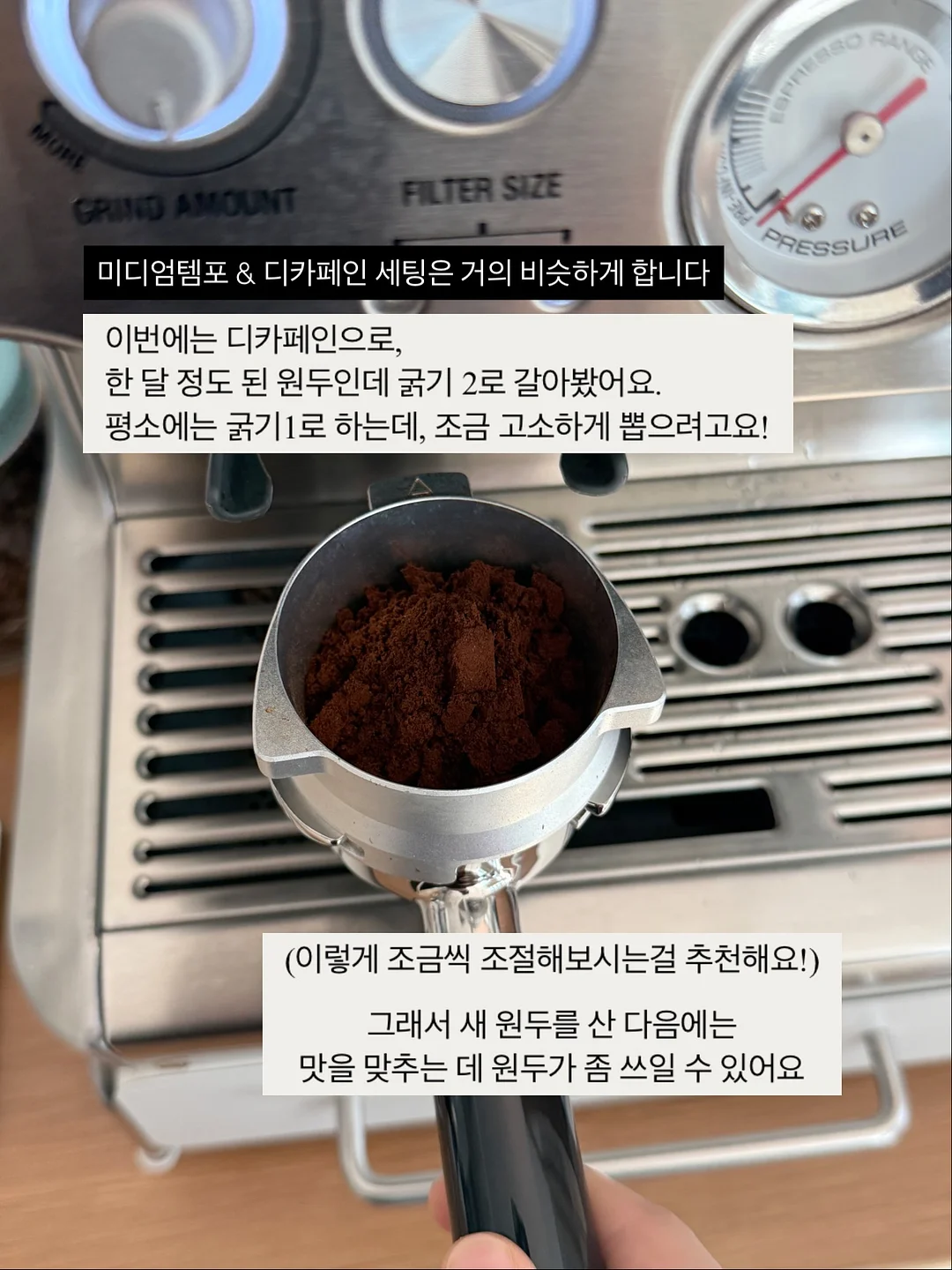 네페타 15