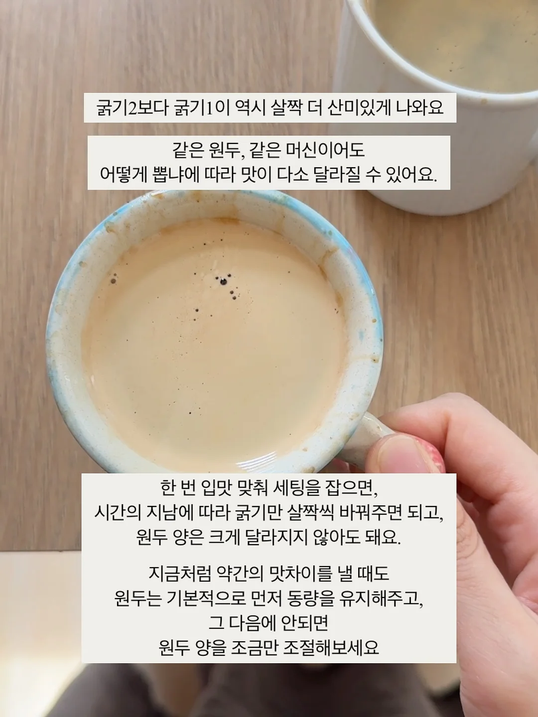 네페타 17
